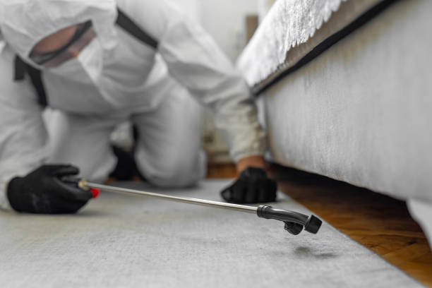 Professional Bed Bug Control technician working in Mokuleia, HI