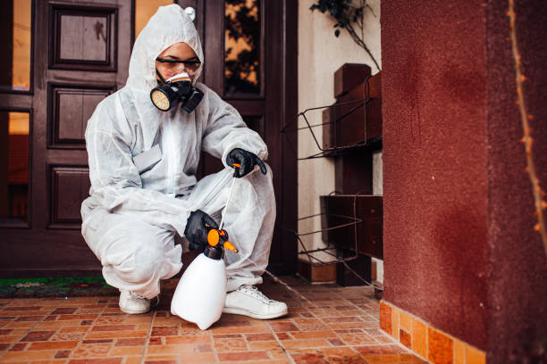 Reliable Bed Bug Control contractor in Mokuleia, HI by Nex Pest Control