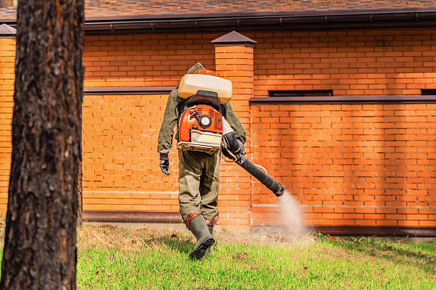 Trusted Emergency Pest Control service in Mokuleia, HI - Nex Pest Control